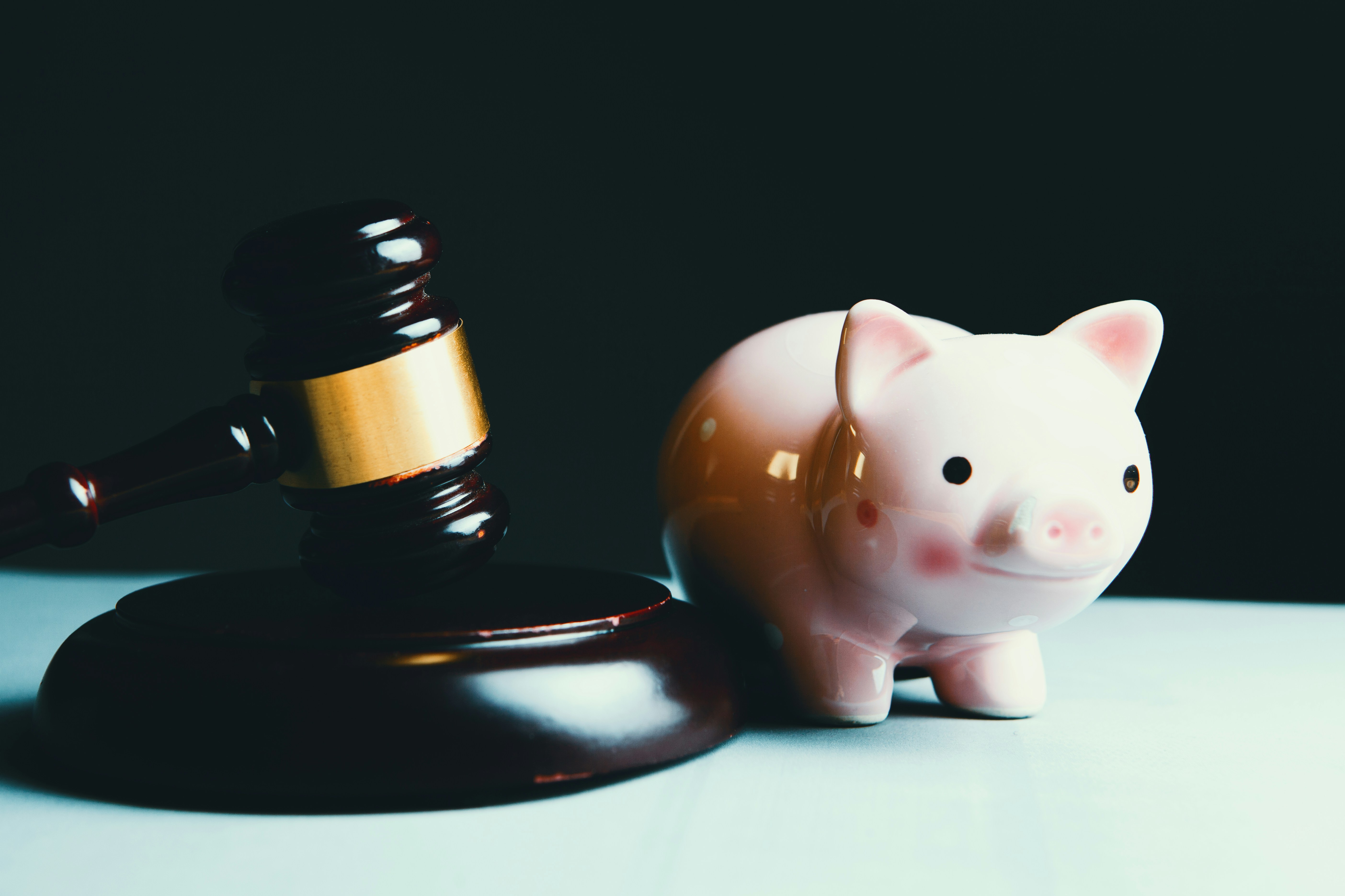 SMSF pig17.jpg